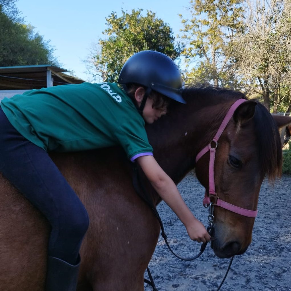 Sesión equinoterapia con niños